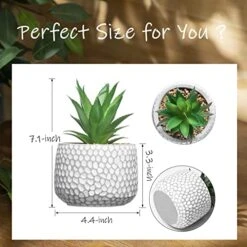 CADNLY Small Artificial Plants In Pots - Fake Plants For Bathroom Office Desk - Faux Succulents Plants Artificial Succulents Decor - Faux Plants Indoor Small Plants Shelf Decor Green Potted Plant -Organic Plant Shop 51yzUJgzlbL