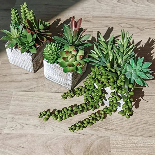 Set Of 3 Small Potted Succulents Plants Decoration Assorted Green Fake Succulents Plants In Rustic Wooden Pots For Home Living Room Bathroom Table Shelf Centerpiece Windowsill Office Desk Indoor Decor 2 Set Of 3 Small Potted Succulents Plants Decoration Assorted Green Fake Succulents Plants In Rustic Wooden Pots For Home Living Room Bathroom Table Shelf Centerpiece Windowsill Office Desk Indoor Decor - Image 2