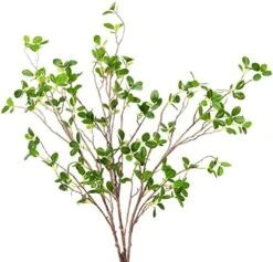 SzJias Faux Stems Artificial Branches For Vase Faux Branches Greenery Plant Stems For Vase Fake Tree Branches (3 Branches, 43.3 Inch/Branches) -Organic Plant Shop 51zUS6ph3HL. AC