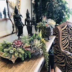 Caqpo Artificial Succulents - 15 Pack - Premium Unpotted Succulent Plants Artificial - Realistic Textured Succulents - Fake Succulent Plants For DIY - Faux Cactus Plant Bulk - Feaux Succulent Plants -Organic Plant Shop 619mSHp3bqL