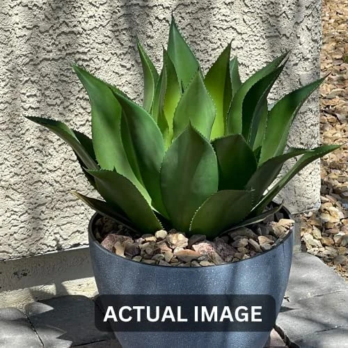 Season's Need 20" Agave Artificial Succulent Large Plants For Indoor Outdoor, Fake Tropical Farmhouse Aesthetic Décor, Patio Porch Decorative Silk Plant, Unpotted Green Spiked Agave (Pack Of 1) 1 Season's Need 20" Agave Artificial Succulent Large Plants For Indoor Outdoor, Fake Tropical Farmhouse Aesthetic Décor, Patio Porch Decorative Silk Plant, Unpotted Green Spiked Agave (Pack Of 1)