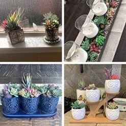 CEWOR 20pcs Artificial Flocked Succulents Mini Fake Succulent Plants Faux Premium Decor For DIY Crafting Home Floral Wall Garden Arrangement Office Decoration (Unpotted) -Organic Plant Shop 61Cn1NocJoL