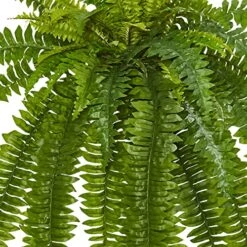 Nearly Natural 35” Boston Fern Artificial (Set Of 2) Silk Plants Green & 5357 4ft. Golden Cane Palm Tree,Green -Organic Plant Shop 61JWBjKtC4L 1