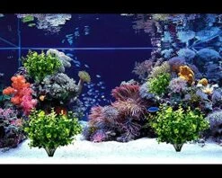 TEMCHY 24 Bundles Outdoor Artificial Boxwood Stems Faux Plants Shrubs, Fake UV Resistant Greenery Foliage Spring For Farmhouse, Home, Garden, Office, Patio, Wedding Decor 10 TEMCHY 24 Bundles Outdoor Artificial Boxwood Stems Faux Plants Shrubs, Fake UV Resistant Greenery Foliage Spring For Farmhouse, Home, Garden, Office, Patio, Wedding Decor -Organic Plant Shop 61MZu3mUhsL