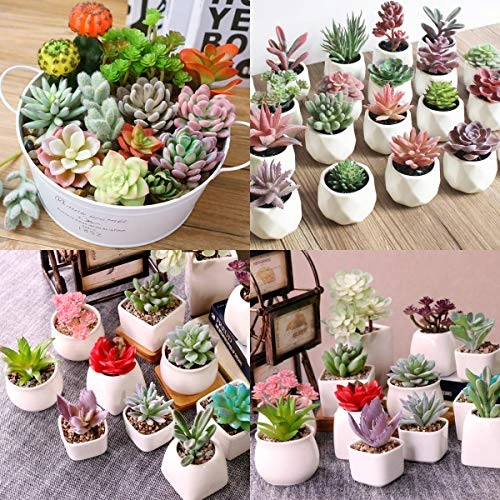 Augshy Artificial Succulents, 16 Pack Fake Succulents Plants Artificial Small Fake Plants Faux Succulents Unpotted For Lotus Landscape Decorative Garden Arrangement Decor 5 Augshy Artificial Succulents, 16 Pack Fake Succulents Plants Artificial Small Fake Plants Faux Succulents Unpotted For Lotus Landscape Decorative Garden Arrangement Decor - Image 5