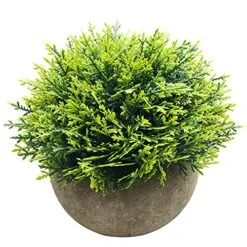 Svenee Mini Fake Cypress Cedar Plants For Bathroom Home Office Desk Decor, Small Artificial Faux Greenery For Farmhouse Decorations (Potted Plants) (2)
