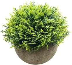 Svenee Mini Fake Cypress Cedar Plants For Bathroom Home Office Desk Decor, Small Artificial Faux Greenery For Farmhouse Decorations (Potted Plants) (1) -Organic Plant Shop 61TNsSWlMcS. AC