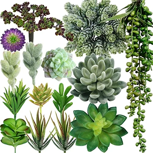 Winlyn 16 Pcs Artificial Succulents Plants Unpotted Small Hanging String Of Pearls Aloe Hops Cactus Green Fake Succulents For Succulent Garden Arrangement Centerpiece Wall Indoor Outdoor Home Decor 1 Winlyn 16 Pcs Artificial Succulents Plants Unpotted Small Hanging String Of Pearls Aloe Hops Cactus Green Fake Succulents For Succulent Garden Arrangement Centerpiece Wall Indoor Outdoor Home Decor