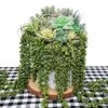 Supla 4 Pcs Artificial Hanging Succulents Faux Burro's Tail Picks Trailing String Of Pearls Succulents Fake Greenery Sprays For Basket Planter Centerpiece Floral Arrangement Indoor Outdoor Decor