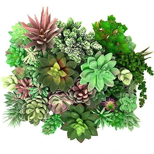 Thatswut - 35 Pack Bulk Large Assorted Realistic Artificial Faux Succulents Aloe Plants Realistic Fake Succulent Plants, Largest Set Of Succulents 1 Thatswut - 35 Pack Bulk Large Assorted Realistic Artificial Faux Succulents Aloe Plants Realistic Fake Succulent Plants, Largest Set Of Succulents