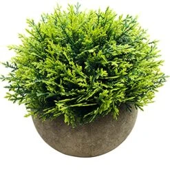 Svenee Mini Fake Cypress Cedar Plants For Bathroom Home Office Desk Decor, Small Artificial Faux Greenery For Farmhouse Decorations (Potted Plants) (1) -Organic Plant Shop 61etYtuFsJS