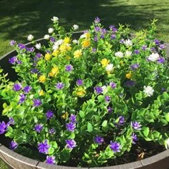 CEWOR 8pcs Artificial Greenery Plants Outdoor UV Resistant Fake Plastic Boxwood Shrubs Grass Stems For Home Wedding Courtyard Indoor And Outside Garden Porch Patio Window Box Farmhouse Decoration -Organic Plant Shop 61iXNn8400L