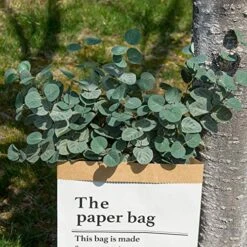 Miracliy 6 PCS Artificial Eucalyptus Leaves Greenery Stems Faux Silk Silver Dollar Eucalyptus Leaf Branches Green Bulk For Home Party Wedding Decoration -Organic Plant Shop 61ldduzuRSL