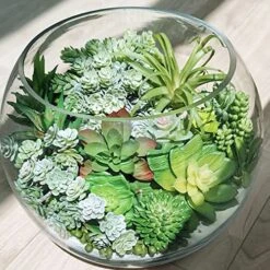 Winlyn 19 Pcs Assorted Artificial Succulents Plants Unpotted Small Green Aloe Hops Cactus String Of Pearls Picks Fake Succulents Bulk For Succulent Garden Floral Arrangement Indoor Outdoor Home Decor -Organic Plant Shop 61t9eAPjuyL