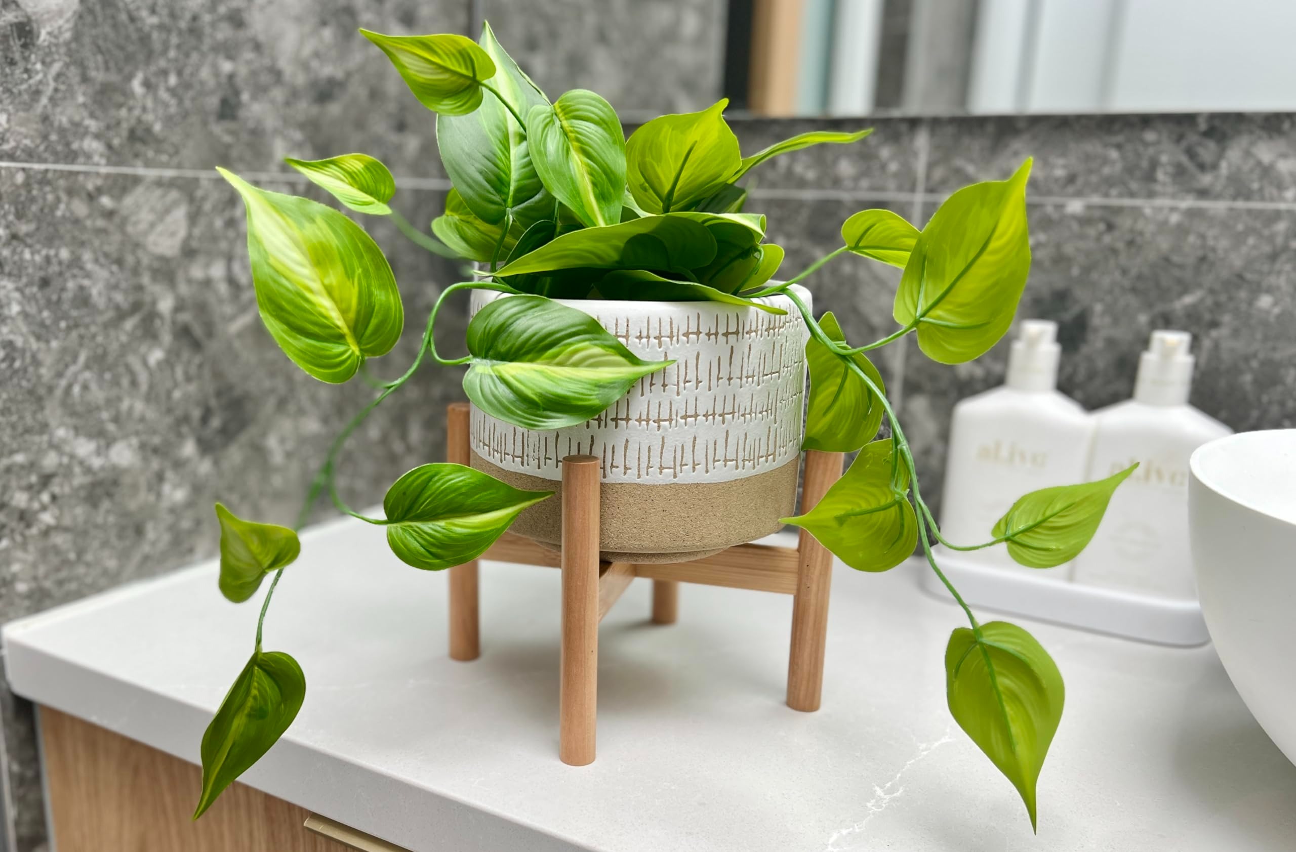 Organic Plant Shop -Organic Plant Shop 81jO7646EfL