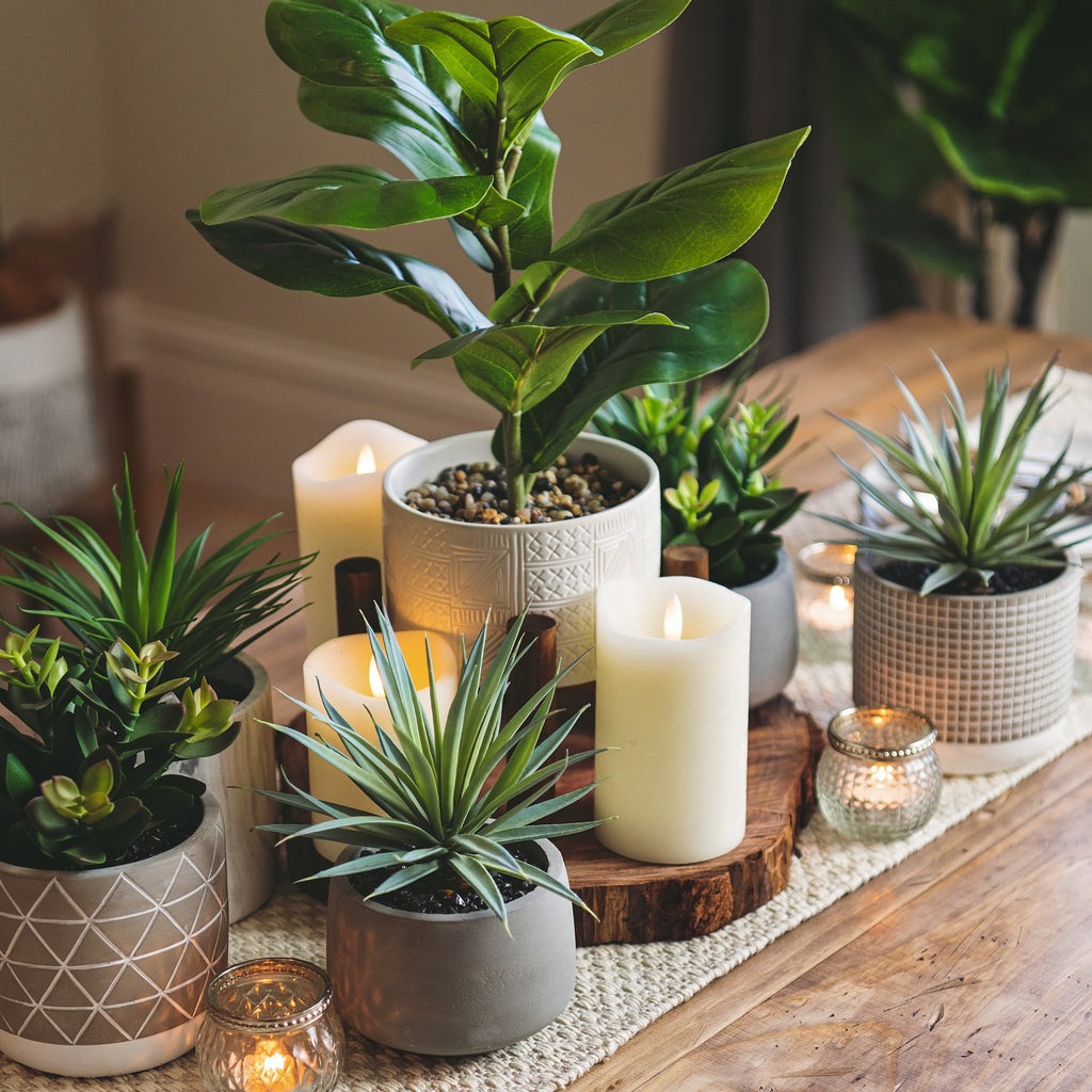 Organic Plant Shop -Organic Plant Shop fiddle pmpgrey grey candle 4.6mb